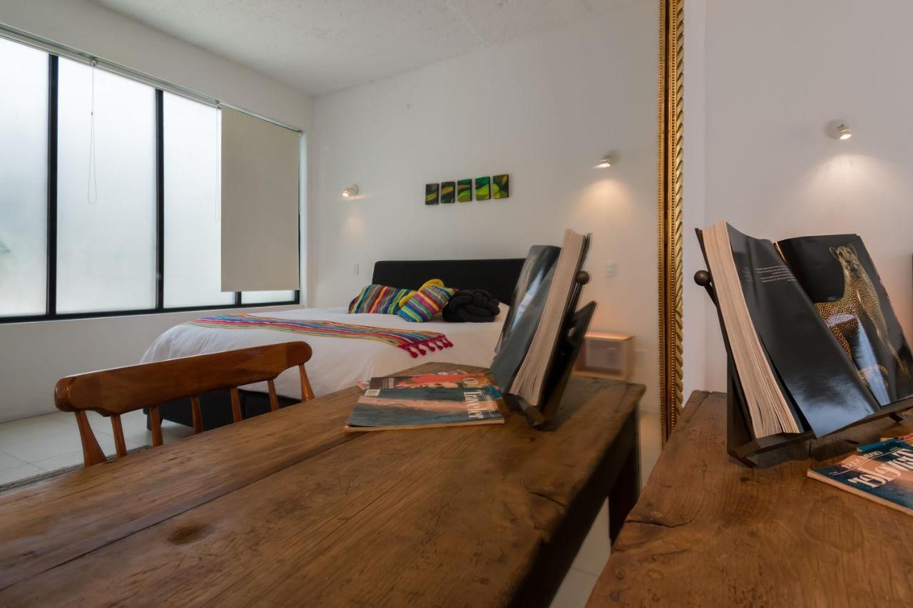 Appartement Fl 59 Coyoacan At Your Doorstep!
