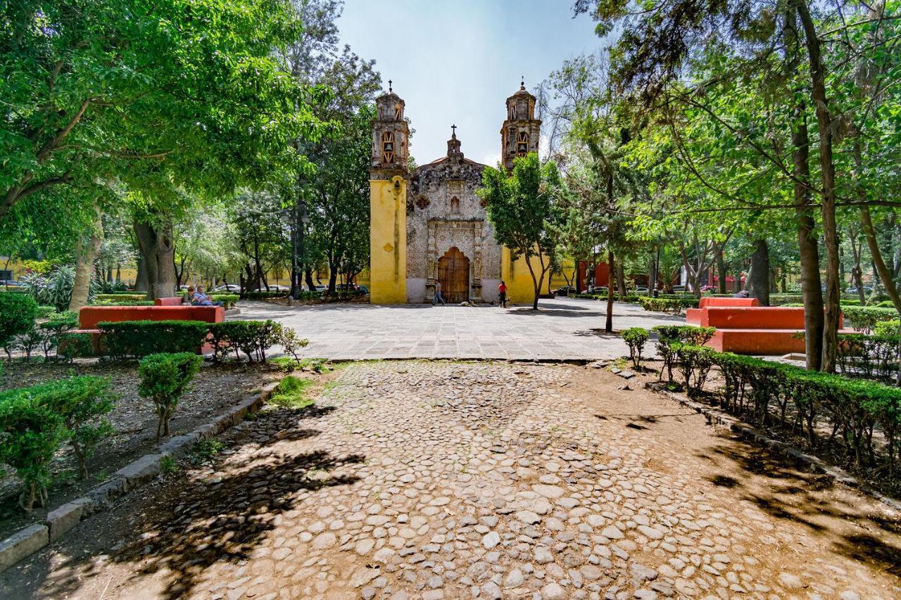 Fl 59 Coyoacan At Your Doorstep! * Mexico City